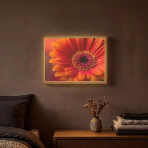 Oranje - Gerbera - Intens Light Box met batterij (Wandlamp) middel -sfeer4