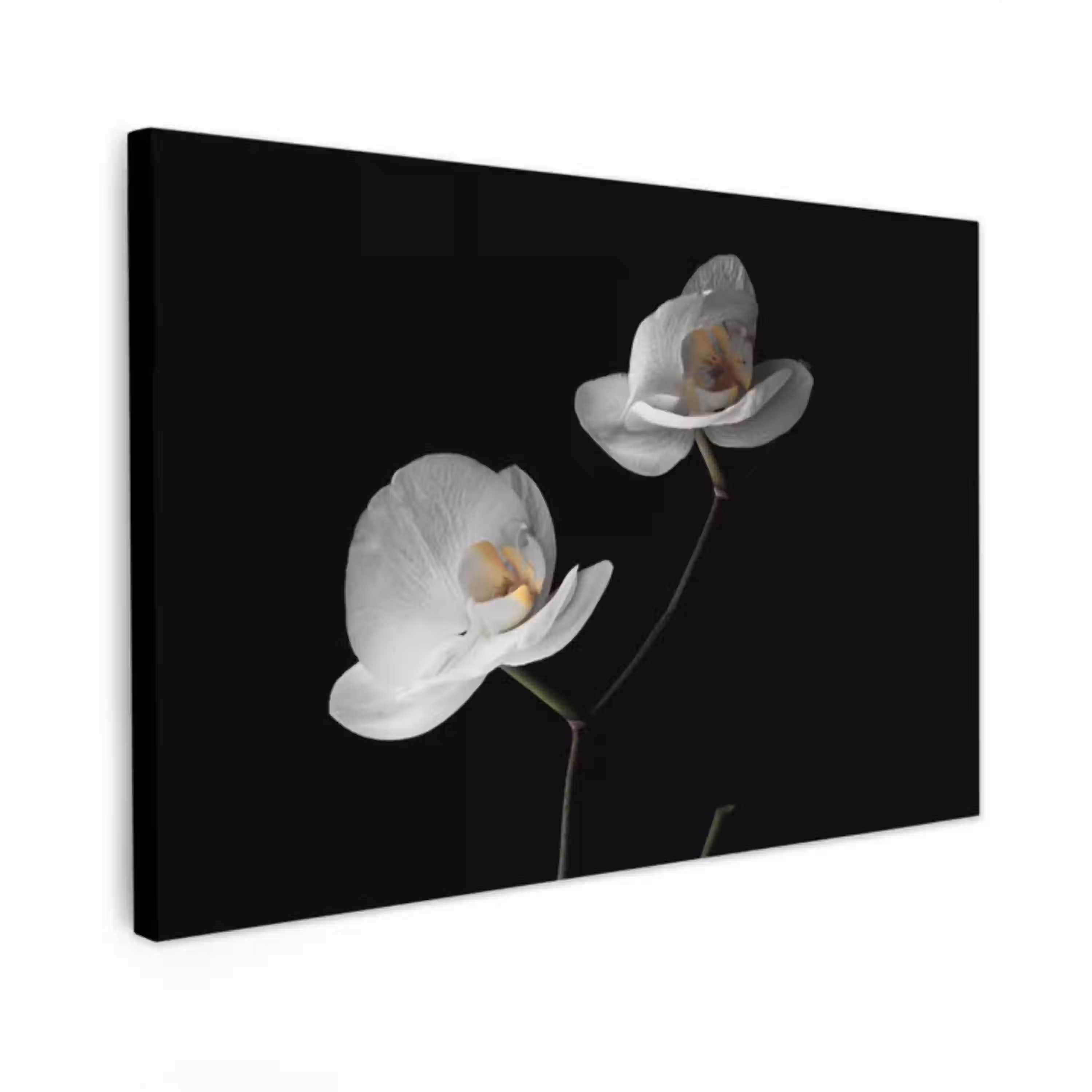 Orchidee - Bloemen - Zwart - Wit - Stilleven Tuinposter op houten frame 2 cm dik klein -3d