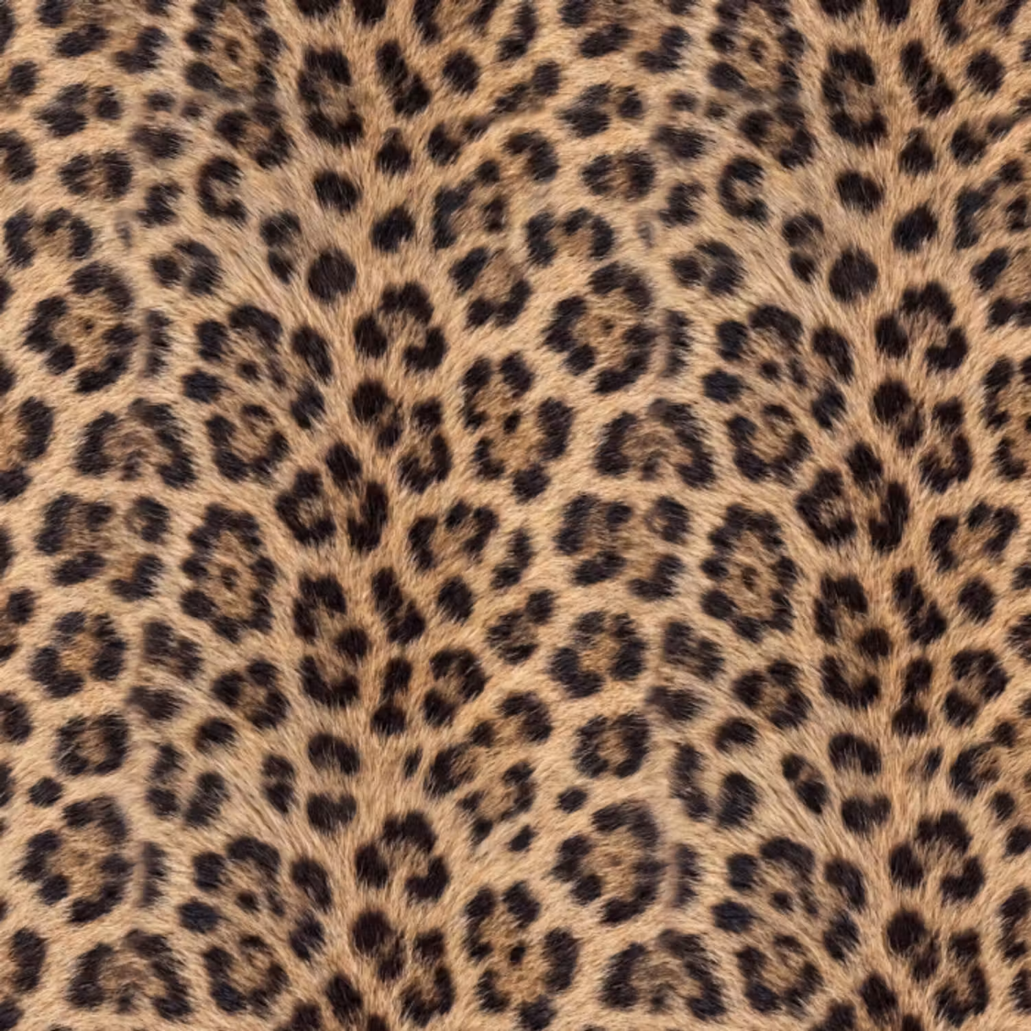 Tapete - Leopard - Mantel - Klassisch - Braun