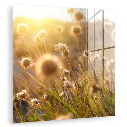 Planten - Natuur - Bloemen - Zon - Horizon plexiglas 5mm klein -zzzproduct_nieuw