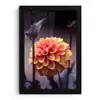 Bloemen - Chrysant - Macro - Planten fotolijst zwart zonder passe partout klein -3d