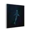 Oceaan - Walvishaai - Donkerblauw - Vlekken aluminium wit klein -3d
