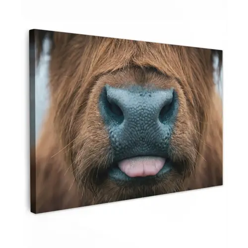 Schotse hooglander - Neus - Bruin Tuinposter op houten frame 2 cm dik klein -3d