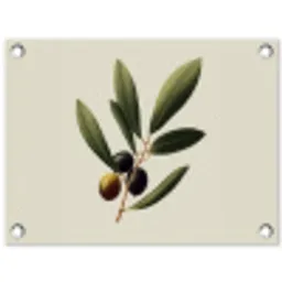 Olijftak - Donkergroen - Olijven tuinposter los doek klein -3d