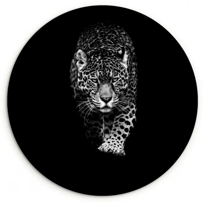 Dieren - Zwart - Luipaard - Wit - Wild Wandcirkel kunststof plaat 5mm dik klein -3d