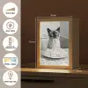 Kat - Siamees - Zwart Wit - Schattig - Dieren Light Box met kabel (Tafellamp) klein -USP_FR