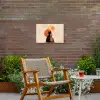 Katten - Zwart - Abstract - Cirkels Tuinposter op houten frame 2 cm dik klein -sfeer3