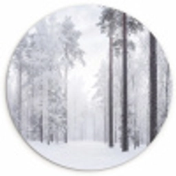 Bos - Sneeuw - Pad - Winter - Stilte Wandcirkel kunststof plaat 5mm dik klein -3d
