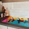 Vogels - Kleurrijk - Tak - Abstract Inductie beschermer vinyl 3mm klein -sfeer3
