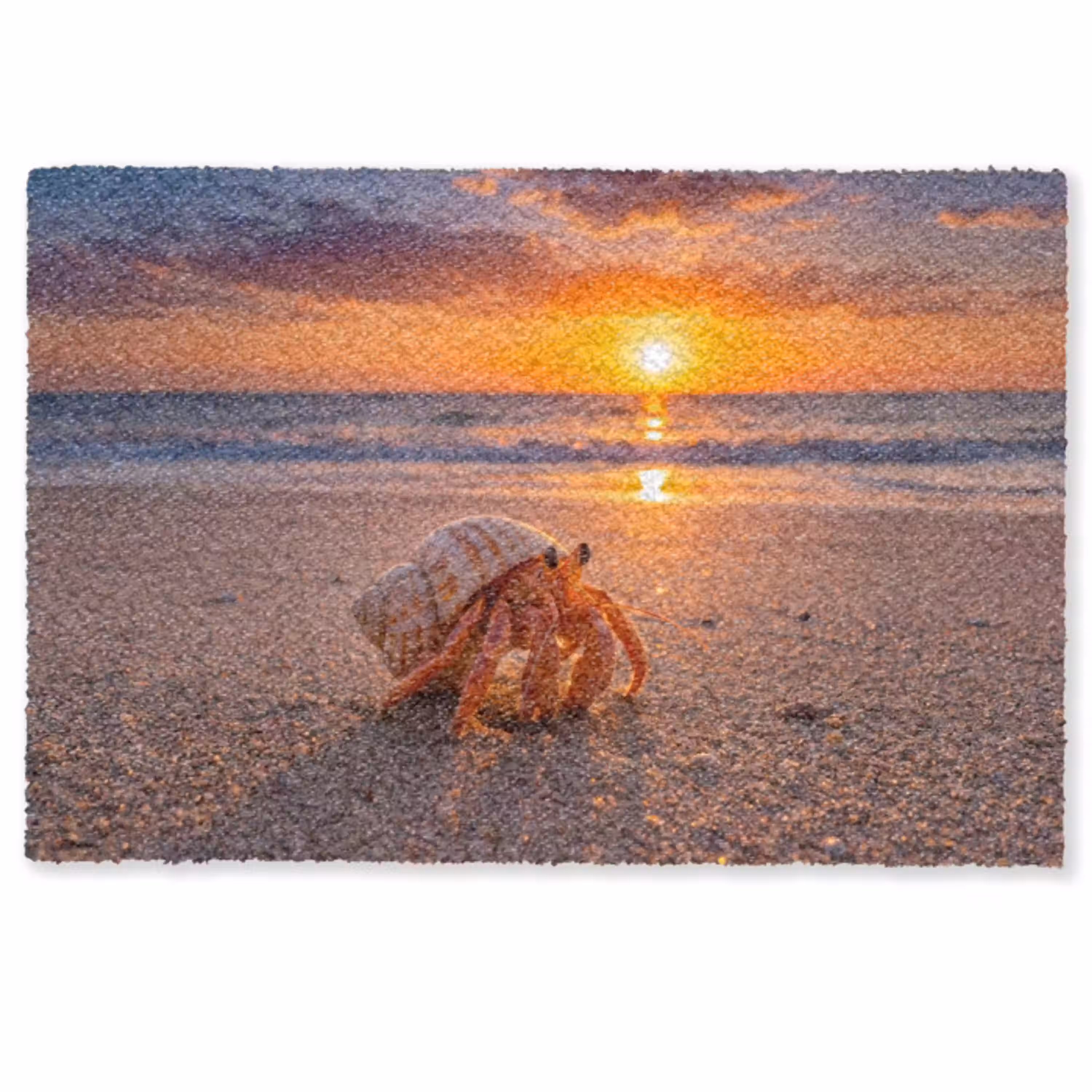 Kreeft - Strand - Natuur - Zonsondergang - Oranje Deurmat klein -zkaufland3d