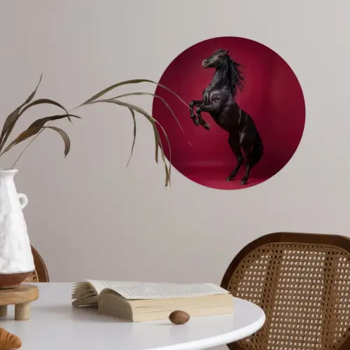 Hengst - Steigert - Rood Wandcirkel behangsticker klein -sfeer3