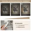 Springen - Paard - Zwart - Wit Light Box met kabel (Tafellamp) klein -USP_dimbaarDE