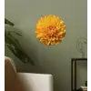 Geel - Chrysant - Zachtheid Wandcirkel behangsticker klein -sfeer2