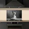 Sphynx - Kat - Dieren - Humor - Spaghetti - Zwart Wit keuken achterwand spatscherm klein -sfeer1