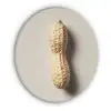 Pinda - Ruw - Beige Akoestische PET Vilt - Rond klein -3d
