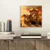 Leeuwen - Zonsondergang - Afrika - Savanne - Dieren aluminium wit klein -sfeer1