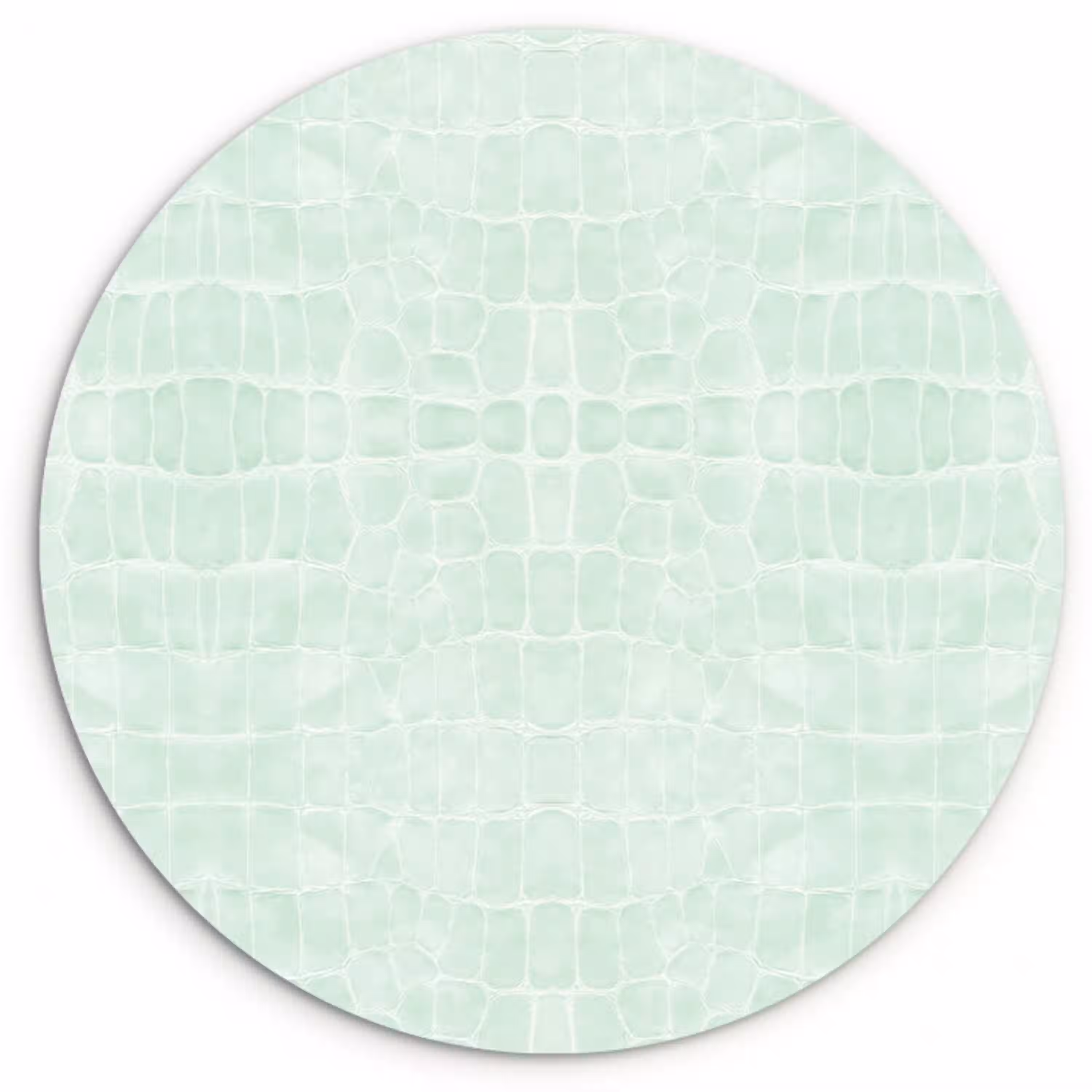 Krokodil - Leer - Lichtgroen Wandcirkel plexiglas klein 852 -3d