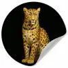 Panter - Realistisch - Bruin Wandcirkel behangsticker klein -3d