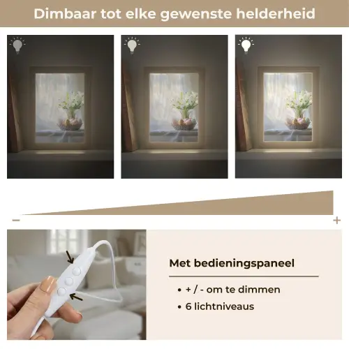 Vaas - Eieren - Bloemen Light Box met kabel (Tafellamp) klein -USP_dimbaarNL