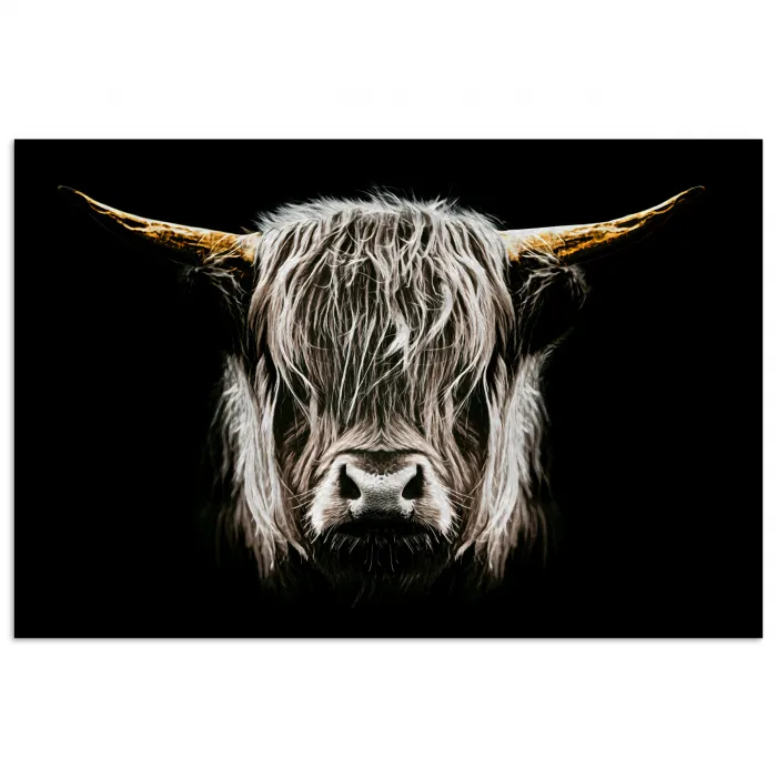 Schotse hooglander - Goud - Hoorns - Zwart wit - Koe - Dieren poster papier klein -3d
