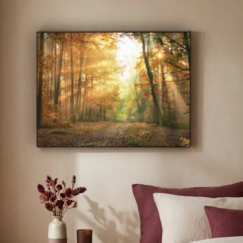 Bos - Herfst - Zon - Landschap - Natuur - Bomen - Bladeren Textielframe zwart klein -sfeer1