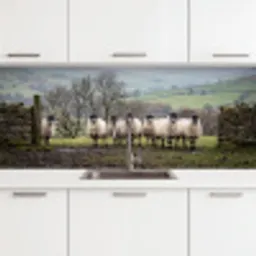 Schapen - Rij - Weide - Dieren - Platteland keuken achterwand 2 middel -3d