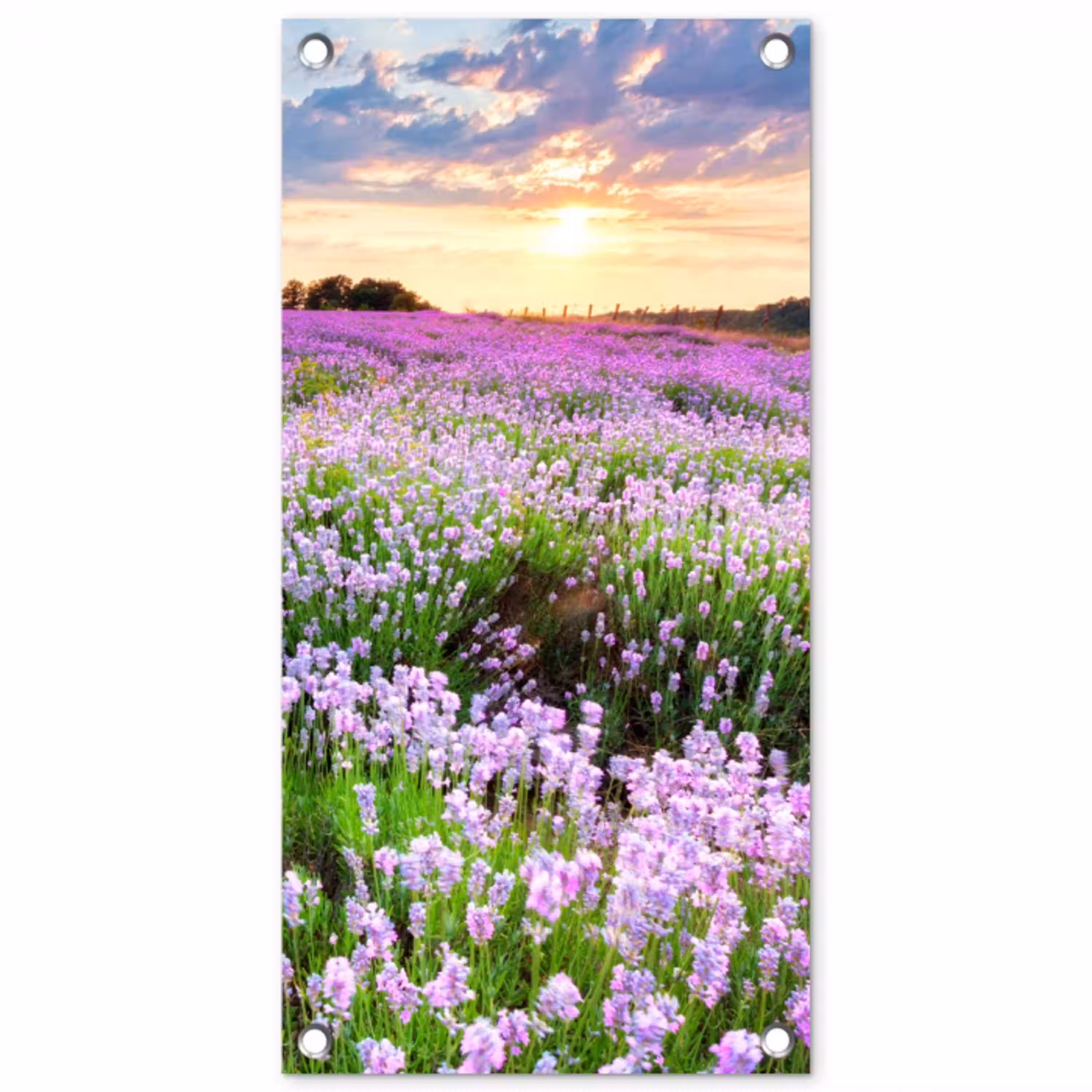 Lavendelvelden in de schemering tuinposter los doek klein -3d