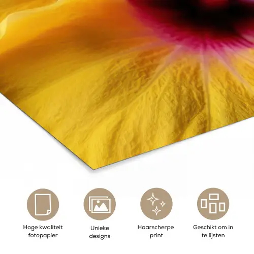Geel - Hibiscus - Tropisch poster papier klein -closeup_NL