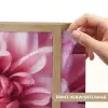 Dahlia - Bloem - Close up - Roze Light Box met batterij (Wandlamp) middel -USP_websiteprintNL