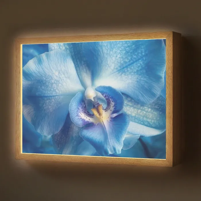 Blauw - Orchidee - Elegeant Light Box met batterij (Wandlamp) middel -z3d_website