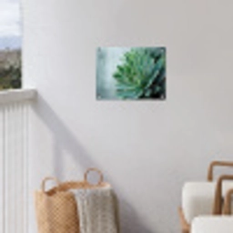 Vetplant - Bladeren - Groen - Wazig tuinposter los doek klein -sfeer8