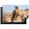 Valk - Vogel - Rots - Macht Inductie beschermer vinyl 3mm klein -3d