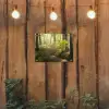 Bos - Bomen - Pad - Zon - Planten - Bladeren - Natuur tuinposter los doek klein -sfeer1