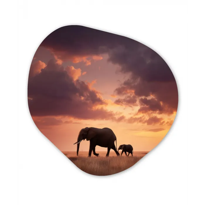 Olifanten - Grasland - Zonsondergang Wandcirkel Organisch Forex 3mm klein -3d