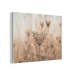 Schermbloem - Droogbloem - Winter - Beige - Minimalistisch PET vilt klein -3d