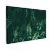 Bladeren - Jungle - Natuur - Tropisch - Planten canvas 2cm klein -z3d