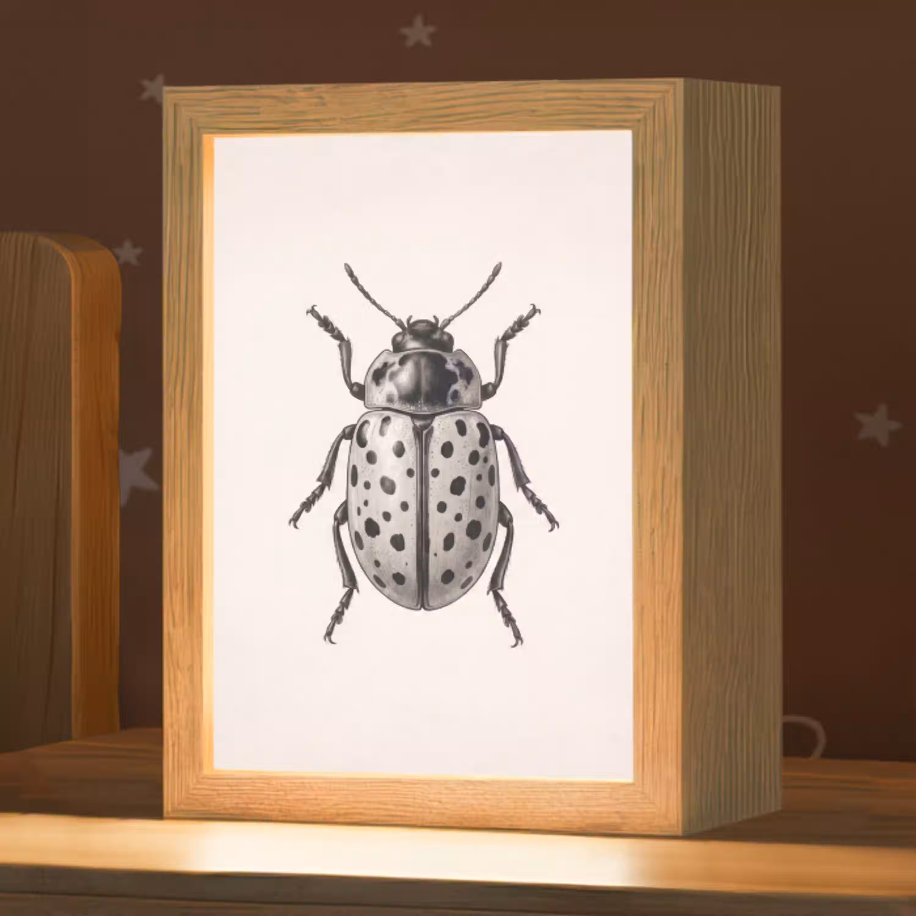 Kever - Insect - Vintage Light Box met kabel (Kinderlampje) klein -zzz_3d_website