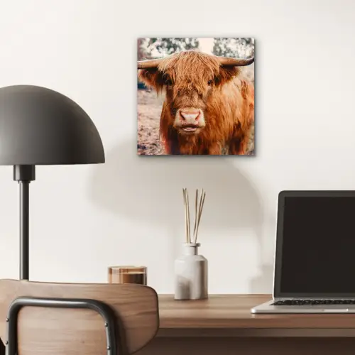 Koe- Schotse hooglander - Hoorns - Bruin - Landschap aluminium wit klein -sfeer5