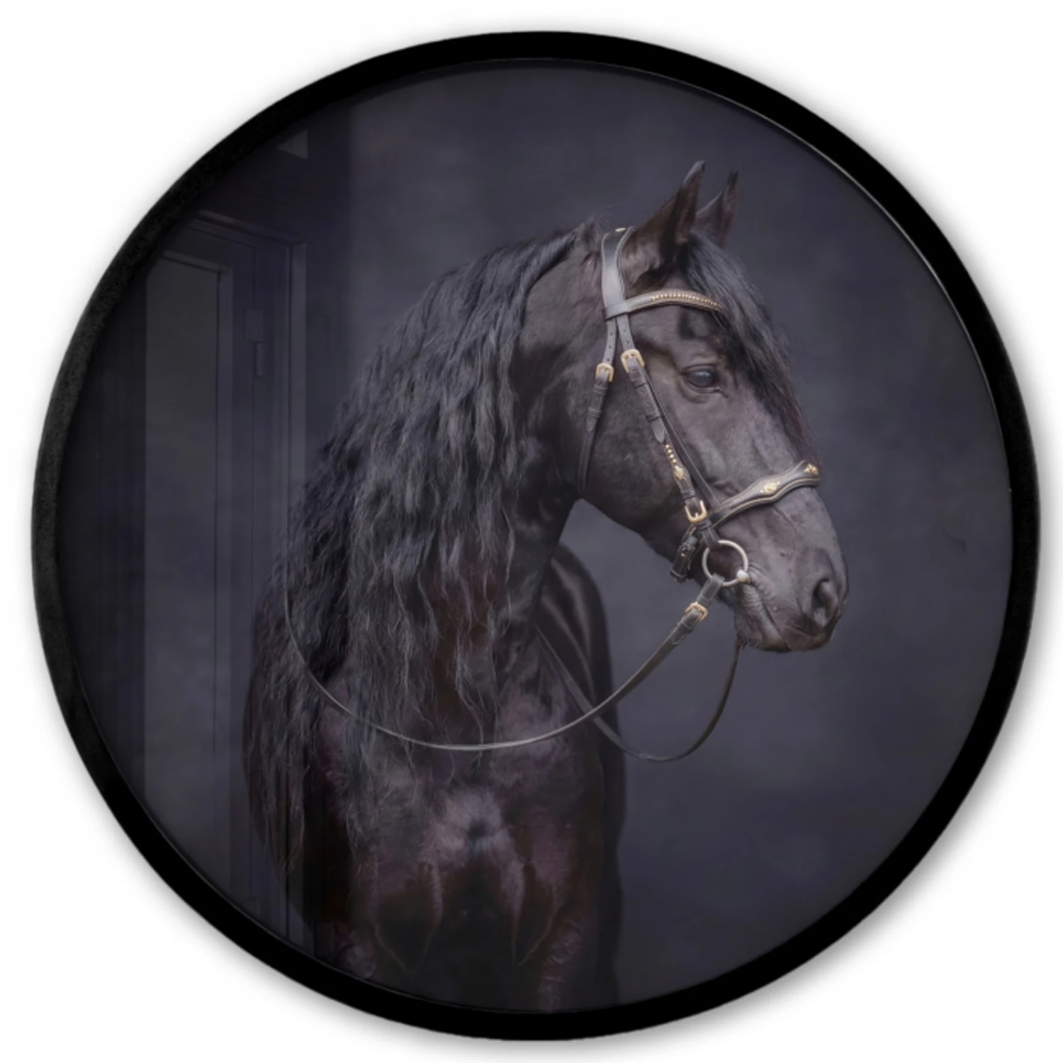 Portret - Paard - Donker Fotolijst rond zonder passe partout klein -3d