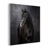 Portret - Paard - Zwart plexiglas 5mm klein -z3d