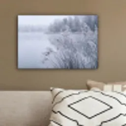 Riet - Bevroren - Winter - Natuur canvas 2cm klein -sfeer3