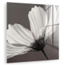 Bloem - Minimalistisch - Zwart - Wit plexiglas 5mm klein -zzzproduct_nieuw