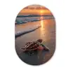 Schildpad - strand - Zonsondergang Wandcirkel Ovaal Forex klein -3d