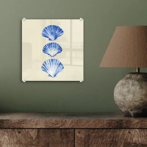 Schelpen - Blauw - Beige plexiglas 5mm klein -sfeer3