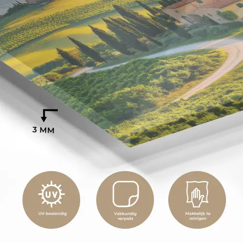 Toscane - Landschap - Wijngaarden plexiglas 5mm klein -sfeer2