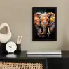 Olifant - Graffiti - Zwart - Dieren - Kleuren fotolijst zwart zonder passe partout klein -sfeer1