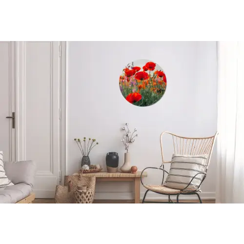 Klaproos - Bloemen - Rood - Paars - Weide Wandcirkel aluminium klein -woonkamer
