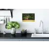 Hert - Gewei - Gras - Natuur - Dieren - Groen Muursticker klein -keuken