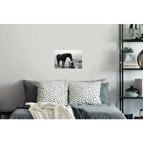 Paard - Auto - Zwart - Wit Muursticker klein -slaapkamer