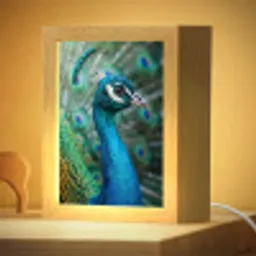 Pauw - Veren - Blauw Light Box met kabel (Kinderlampje) klein -zzzz_3d_website